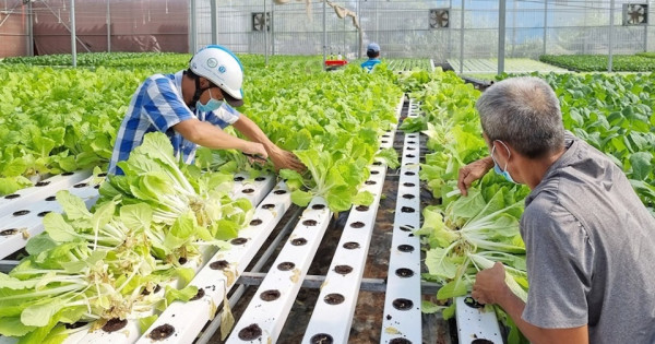 Bình Điền – Mekong: “Thổi làn gió xanh” vào đô thị bằng giải pháp hữu cơ toàn diện