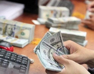 Giá ngoại tệ ngày 19/11/2025: USD tiếp đà tăng