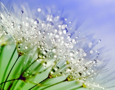 Tử vi ngày 20/11/2025 của 12 cung hoàng đạo: Ma Kết có nhiều tin vui về tài chính