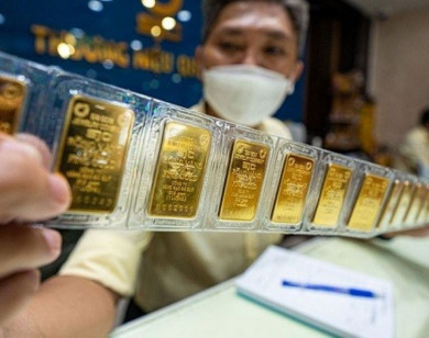 Giá vàng ngày 19/11/2025: Vàng miếng giảm sâu đến 1,7 triệu đồng/lượng