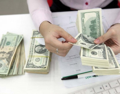 Giá ngoại tệ ngày 21/11/2025: USD tiếp tục tăng giá