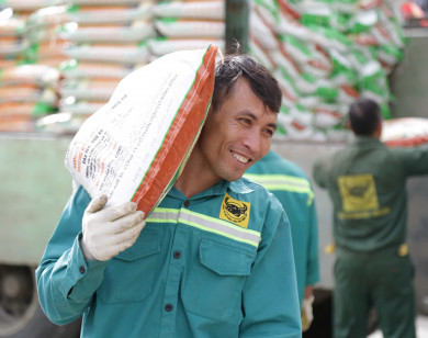 Bình Điền hỗ trợ sinh kế giúp nông dân Thanh Hóa tái thiết sản xuất sau bão lũ