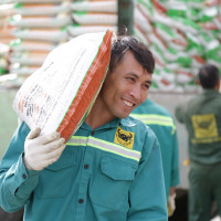 Bình Điền hỗ trợ sinh kế giúp nông dân Thanh Hóa tái thiết sản xuất sau bão lũ