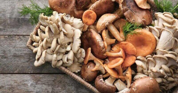 Top thực phẩm giàu kẽm giúp nâng cao miễn dịch