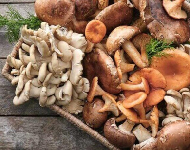 Top thực phẩm giàu kẽm giúp nâng cao miễn dịch