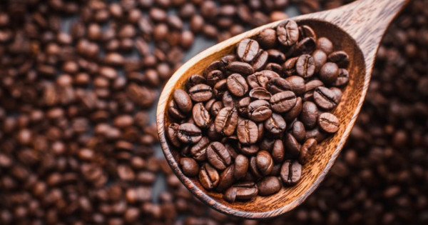 Giá nông sản ngày 23/11/2025: Cà phê giảm mạnh, hồ tiêu tăng nhẹ