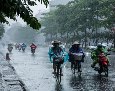 Thời tiết ngày 23/11/2025: Trung Bộ mưa to đến rất to