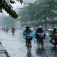 Thời tiết ngày 23/11/2025: Trung Bộ mưa to đến rất to