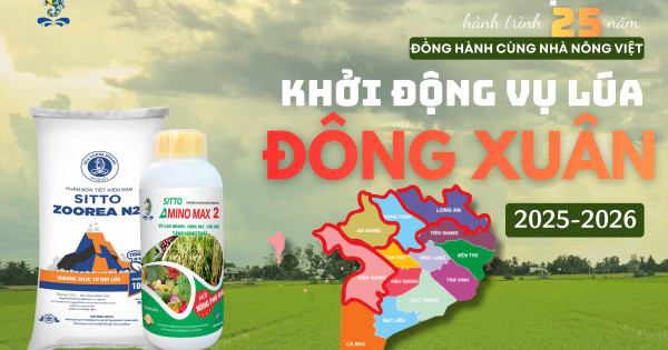 Phân bón ZOOREA N27 thế hệ mới giúp nhà nông tiết kiệm, tăng năng suất mùa vụ