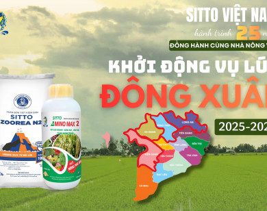 Phân bón ZOOREA N27 thế hệ mới giúp nhà nông tiết kiệm, tăng năng suất mùa vụ
