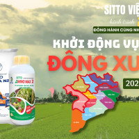 Phân bón ZOOREA N27 thế hệ mới giúp nhà nông tiết kiệm, tăng năng suất mùa vụ