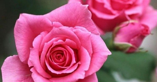 Tử vi ngày 26/11/2025 của 12 cung hoàng đạo: Xử Nữ tài chính khá tốt