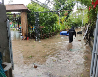 Hướng dẫn phòng, chống dịch bệnh mùa mưa lũ