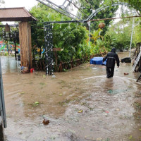 Hướng dẫn phòng, chống dịch bệnh mùa mưa lũ