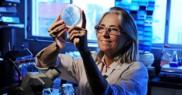 Cuộc hẹn của các trí tuệ dẫn dắt y học tương lai tại Tuần lễ Khoa học Công nghệ VinFuture 2025