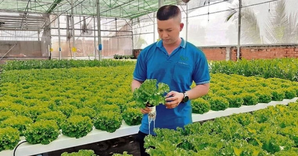 TP Hồ Chí Minh vạch lộ trình xây dựng tương lai xanh bền vững