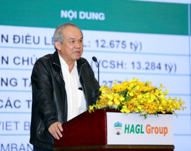 Hoàng Anh Gia Lai tổ chức cuộc gặp nhà đầu tư tại TP Hồ Chí Minh