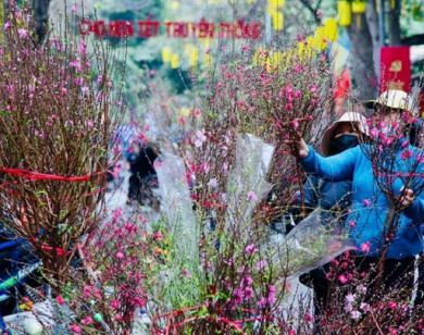 Lịch nghỉ lễ, Tết năm 2026 của công chức, viên chức và người lao động