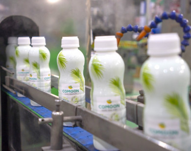 Bất ngờ khi quả dừa Việt Nam "hô biến" thành các sản phẩm đặc sắc, bền vững