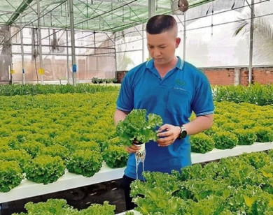 TP Hồ Chí Minh vạch lộ trình xây dựng tương lai xanh bền vững