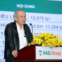 Hoàng Anh Gia Lai tổ chức cuộc gặp nhà đầu tư tại TP Hồ Chí Minh