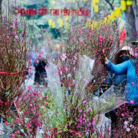 Lịch nghỉ lễ, Tết năm 2026 của công chức, viên chức và người lao động