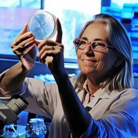 Cuộc hẹn của các trí tuệ dẫn dắt y học tương lai tại Tuần lễ Khoa học Công nghệ VinFuture 2025