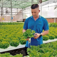 TP Hồ Chí Minh vạch lộ trình xây dựng tương lai xanh bền vững