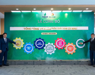 PVCFC: Bước ngoặt chiến lược trong phát triển nâng tầm quốc tế