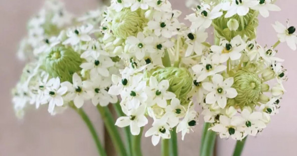 Tử vi ngày 30/11/2025 của 12 cung hoàng đạo: Song Ngư tài chính không ổn định