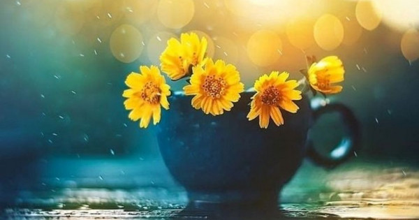 Tử vi ngày 2/12/2025 của 12 cung hoàng đạo: Thiên Bình cần chú ý nghỉ ngơi