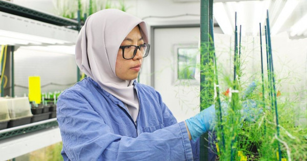 Các nhà khoa học hàng đầu thế giới hiến kế nuôi sống 10 tỷ người tại Tuần lễ Khoa học Công nghệ VinFuture 2025