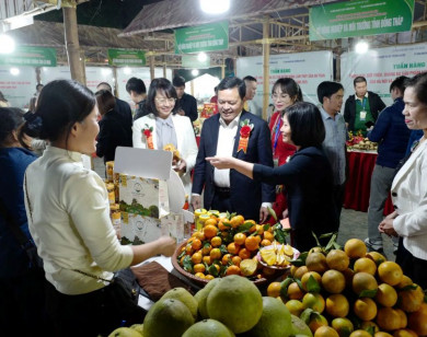 Cơ hội cho nông sản Việt tại thị trường Nhật Bản