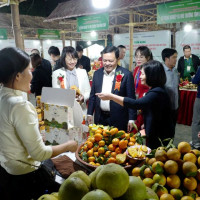 Cơ hội cho nông sản Việt tại thị trường Nhật Bản