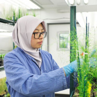 Các nhà khoa học hàng đầu thế giới hiến kế nuôi sống 10 tỷ người tại Tuần lễ Khoa học Công nghệ VinFuture 2025