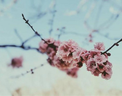 Tử vi ngày 3/12/2025 của 12 cung hoàng đạo: Chuyện tình cảm của Song Tử khá tốt