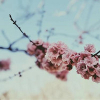 Tử vi ngày 3/12/2025 của 12 cung hoàng đạo: Chuyện tình cảm của Song Tử khá tốt