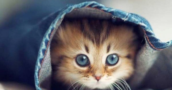 Tử vi ngày 4/12/2025 của 12 cung hoàng đạo: Bảo Bình tài chính ổn định