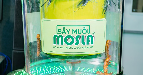 Hành trình 10 năm đưa sáng chế bẫy muỗi Mosla đến với cộng đồng 