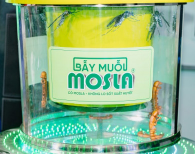 Hành trình 10 năm đưa sáng chế bẫy muỗi Mosla đến với cộng đồng 