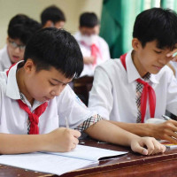 TP Hồ Chí Minh: Công bố thông tin mới nhất về tuyển sinh đầu cấp