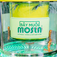 Hành trình 10 năm đưa sáng chế bẫy muỗi Mosla đến với cộng đồng 