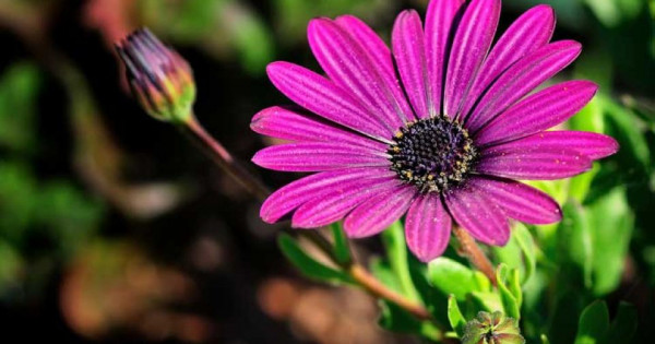 Tử vi ngày 6/12/2025 của 12 cung hoàng đạo: Bạch Dương tài chính chưa thuận lợi