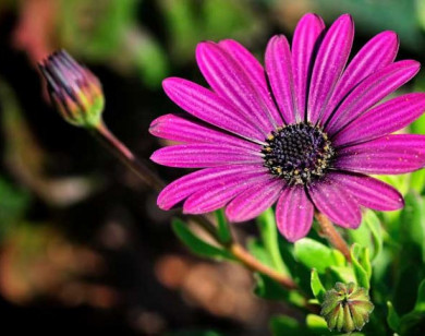 Tử vi ngày 6/12/2025 của 12 cung hoàng đạo: Bạch Dương tài chính chưa thuận lợi