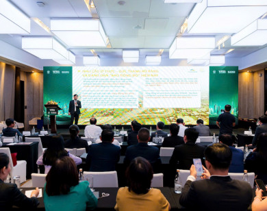 "Làm cả đời cũng không mua nổi nhà": Đâu là điểm "nghẽn" nhà ở?