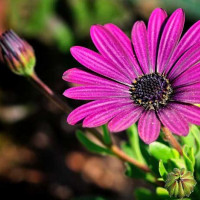 Tử vi ngày 6/12/2025 của 12 cung hoàng đạo: Bạch Dương tài chính chưa thuận lợi