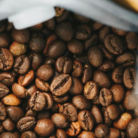 Giá nông sản ngày 6/12/2025: Cà phê và hồ tiêu cùng giảm