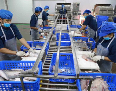 Xuất khẩu nông sản vượt khó về đích