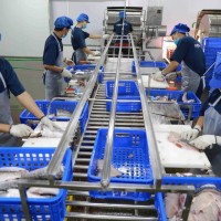 Xuất khẩu nông sản vượt khó về đích