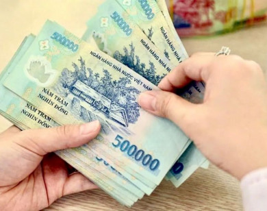 Chưa sử dụng hết số ngày nghỉ phép năm, có được trả tiền không?